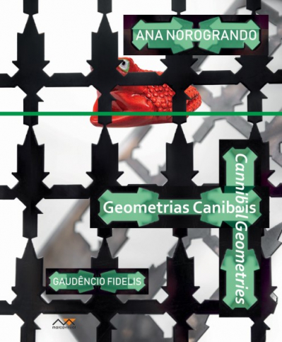 http://ananorogrando.com.br/files/gimgs/th-271_capa_geometrias.jpg